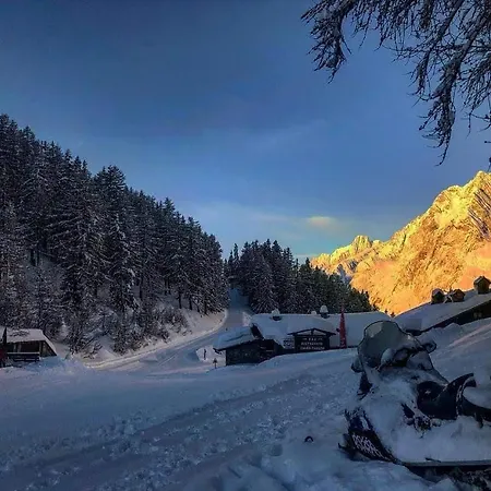 Jolie Maison Fleurie Con Sauna Monte Bianco Apartment Courmayeur